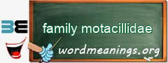 WordMeaning blackboard for family motacillidae